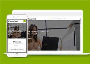 企业合作商务展示HTML网页模板下载 - 天能资源