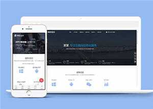 互联网信息化服务网站前端模板下载 - 天能资源