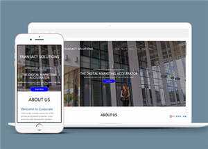 项目产品解决方案HTML网页模板下载 - 天能资源