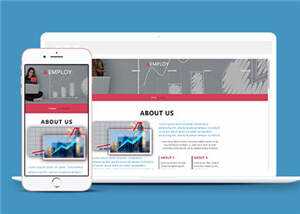 数据分析服务公司HTML网页模板下载 - 天能资源