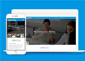 专业咨询服务展示HTML网页模板下载 - 天能资源