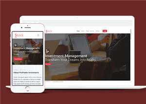 股票金融分析团队HTML网页模板下载 - 天能资源