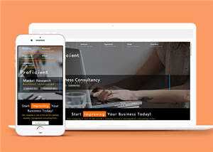 精通商务科技公司HTML网站模板下载 - 天能资源