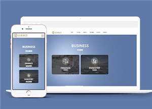 简约网络设计金融企业前端网站模板下载 - 天能资源