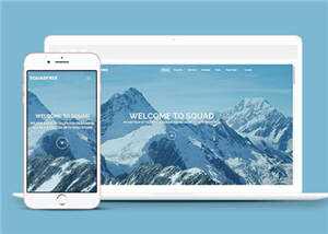 营销企业团队响应式网页模板 - 天能资源