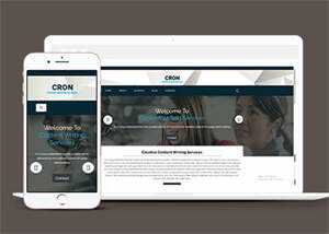 简洁创意内容写作博客网页模板 - 天能资源