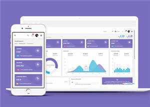 手机app运营数据统计后台模板下载 - 天能资源