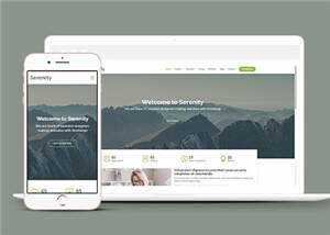 简约业务服务动态响应式网页模板 - 天能资源