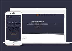 简约业务团队动态响应式网页模板 - 天能资源