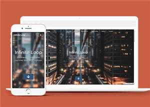 业务团队案例展示网页模板下载 - 天能资源