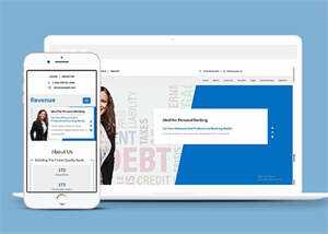 商务咨询金融服务公司模板源码 - 天能资源