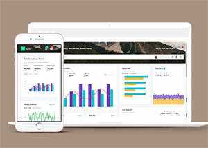 UI管理系统后台模板Lite版下载 - 天能资源