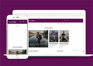简洁新闻资讯播报网站模板源码 - 天能资源