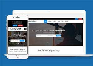 客户支持响应式网站模板下载 - 天能资源