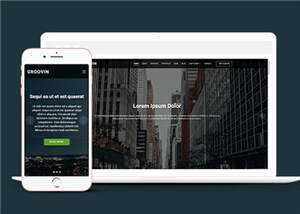 创意咨询代理公司响应式网页模板 - 天能资源