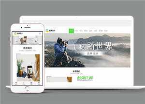 响应式品牌广告设计公司网站前端模板 - 天能资源