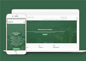 绿色现代创意服务响应式网页模板 - 天能资源