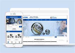 机械轴承制造公司网站前端模板 - 天能资源