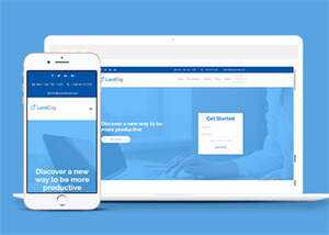 浅蓝色VIP软件单页面模板下载 - 天能资源