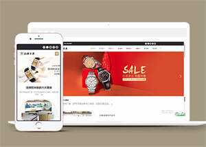 品牌钟表手表类网站前端模板下载 - 天能资源