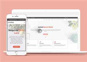 简约营销业务展示响应式网页模板 - 天能资源