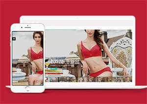 宽屏内衣服饰服装类网站前端模板 - 天能资源