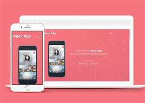 App开发制作公司网站模板下载 - 天能资源