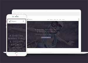 手工工艺品展览HTML5模板下载 - 天能资源