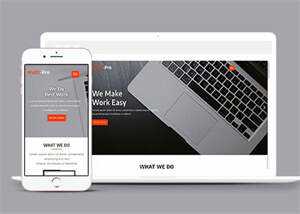 响应式UI设计师项目展示模板 - 天能资源