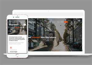 淘宝海外集运公司网站模板下载 - 天能资源