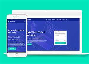 宽屏域名服务代理商HTML5模板下载 - 天能资源