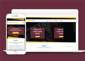 响应式黄色线条简洁网站模板 - 天能资源