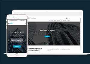 商务代理项目服务响应式网页模板 - 天能资源