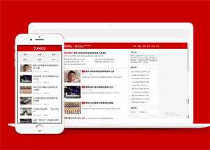 博客主题新闻资讯类网站前端模板 - 天能资源