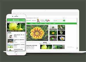 响应式花卉养殖资讯类前端模板 - 天能资源