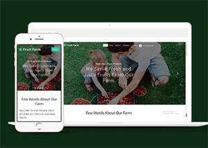 新鲜农产品类公司网站模板下载 - 天能资源