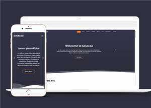 简约业务团队动态响应式网页模板下载 - 天能资源