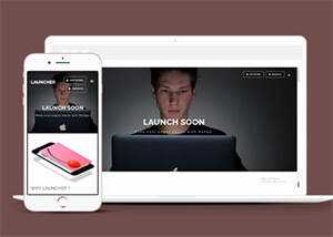 宽屏响应式应用APP网站模板下载 - 天能资源