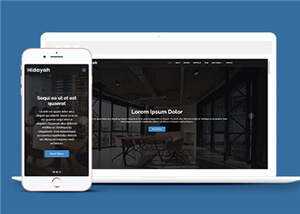 商业团队项目展示响应式网页模板 - 天能资源