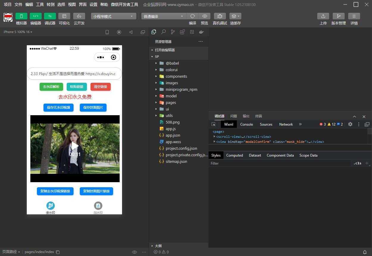 短视频去水印和图片加水印生成微信小程序源码 - 天能资源