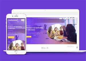 紫色精品商业合作网站模板源码 - 天能资源