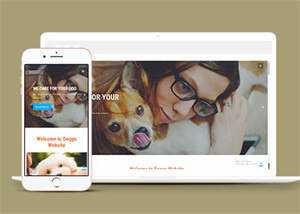 宠物美容服务公司网站模板源码 - 天能资源