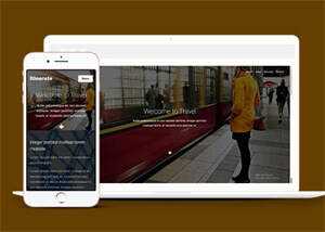 宽屏响应式扁平化旅游类网站模板 - 天能资源