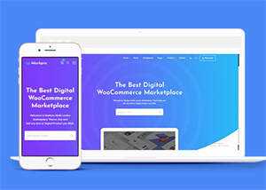 数字市场资源下载平台网站模板 - 天能资源