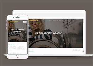 简洁服装洗涤清洗公司网站模板 - 天能资源