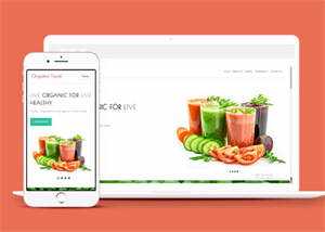 宽屏鲜榨果汁加盟店网站模板下载 - 天能资源