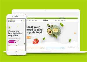 蔬菜水果商店网站响应式模板下载 - 天能资源