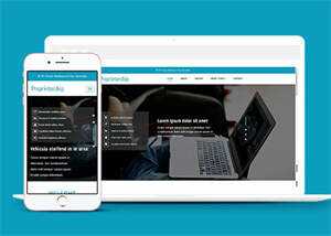 淘宝详情页制作响应式网站模板 - 天能资源