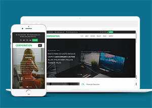 响应式财务管理公司网站模板 - 天能资源