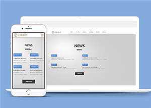 简约金融行业企业前端HTML网页下载 - 天能资源
